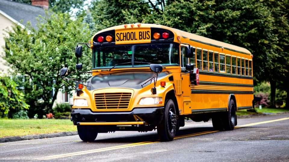 School bus on the street
