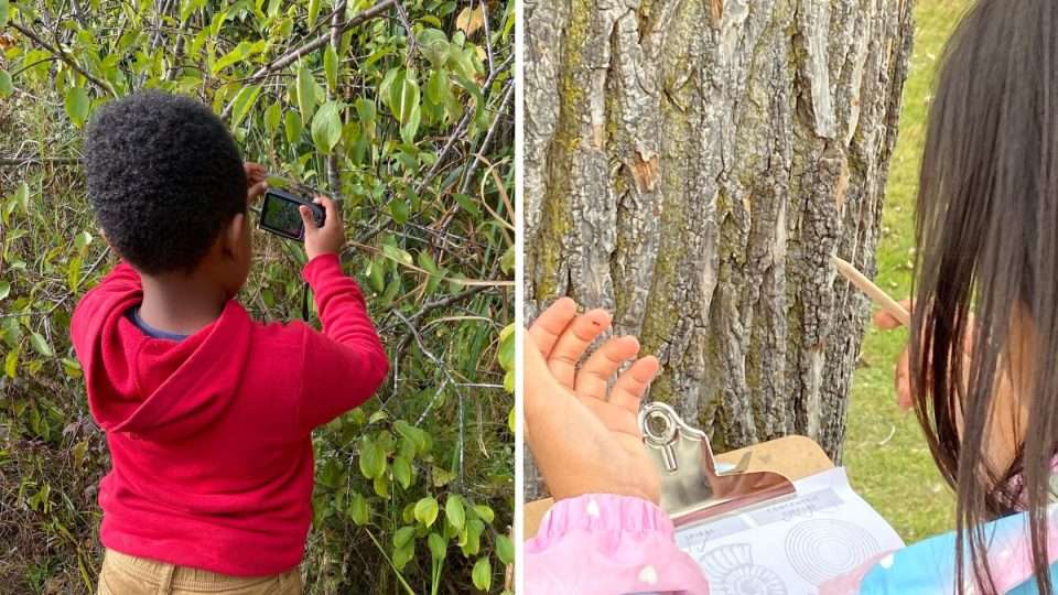 OCSB students learning outdoors