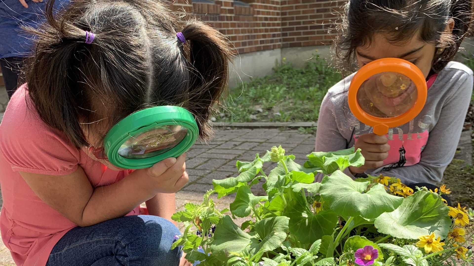 Students at OCSB schools