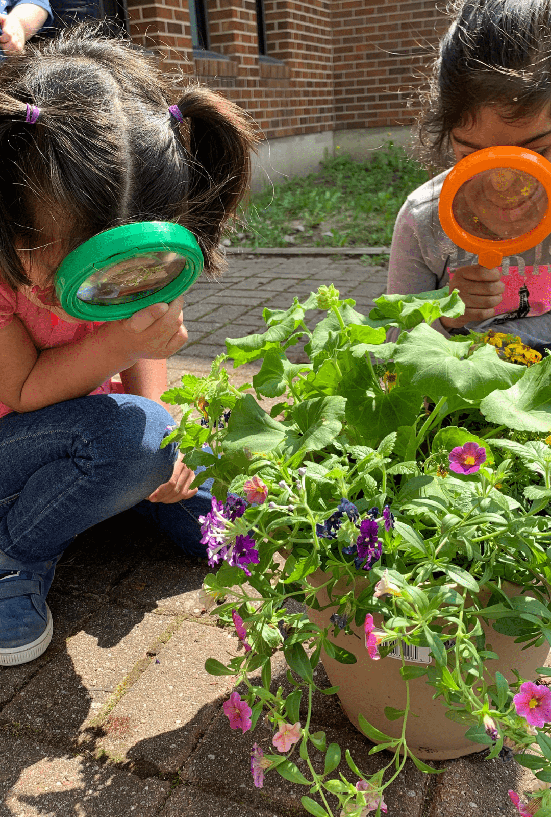 children at an OCSB school exploring outdoors