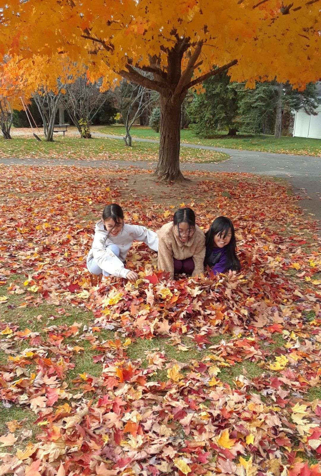 Children from OCSB schools learning outdoors about environment