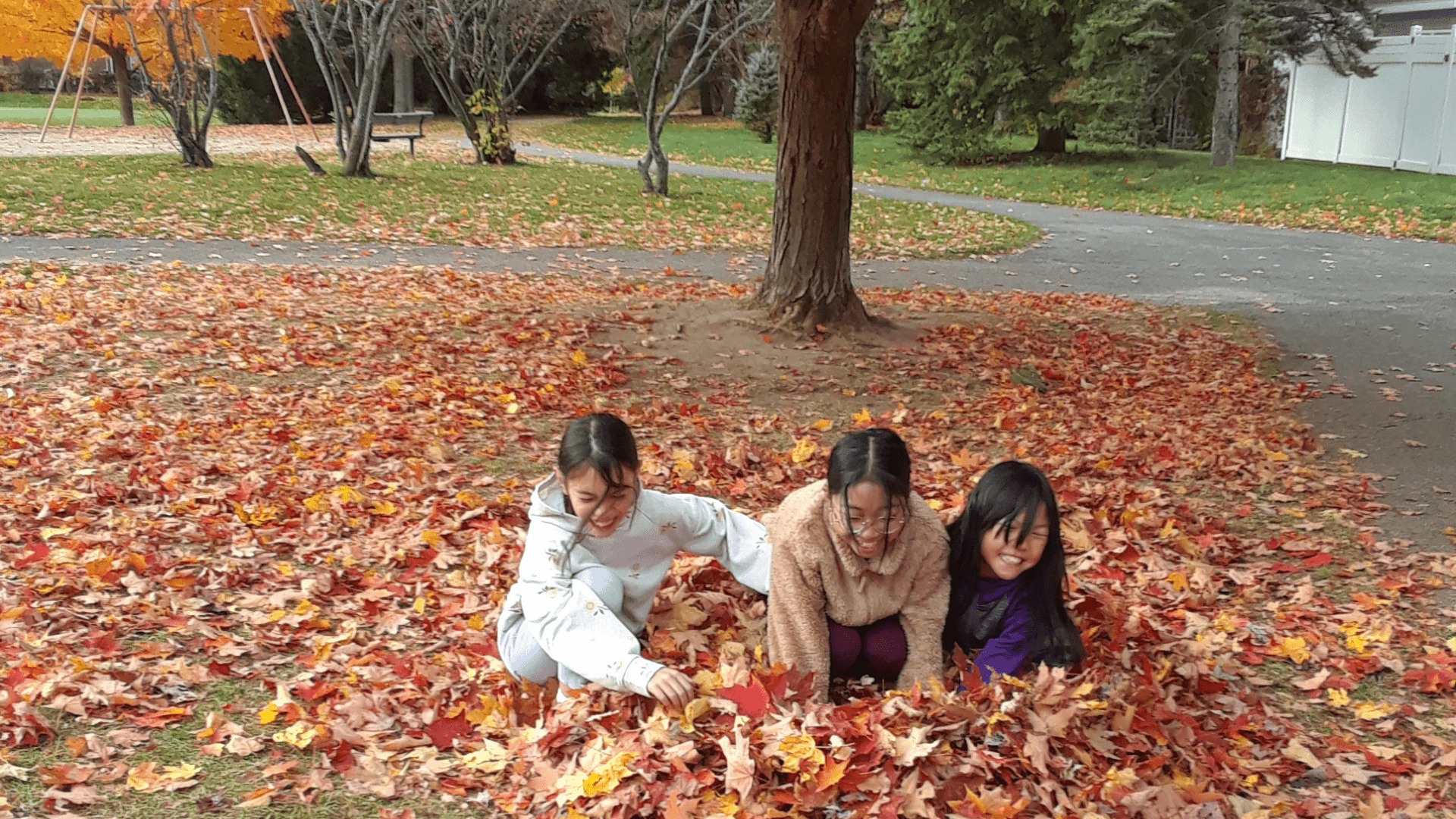 Children from OCSB schools learning outdoors about environment