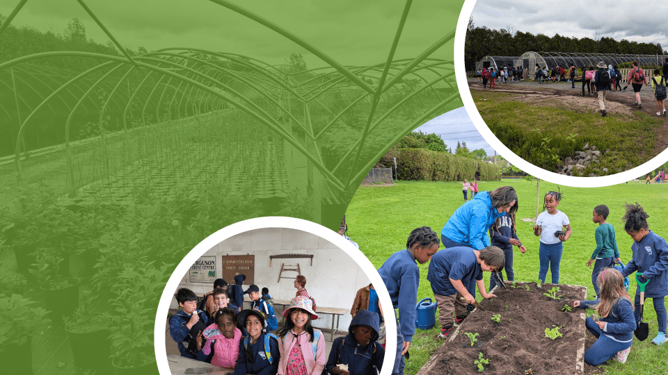 students at St Augustine School planting