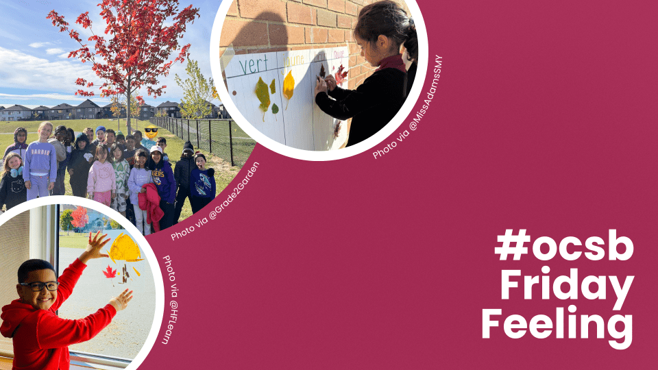 Friday Feeling | Lessons in the Leaves