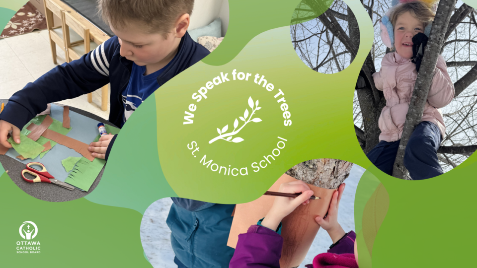 We speak for the trees at St Monica School